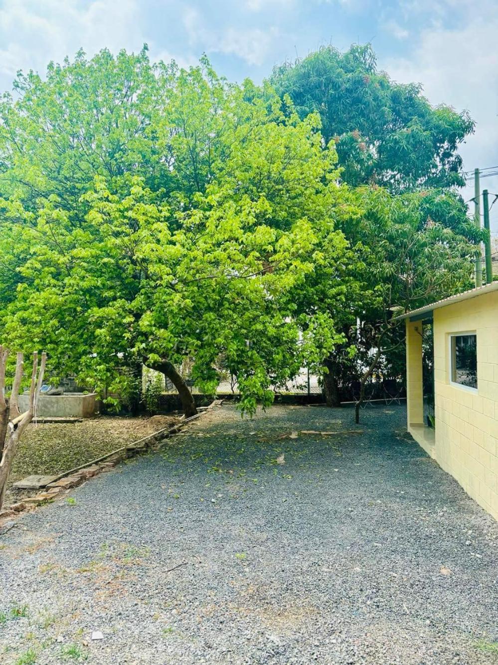 Hostal Camila'S Tamanique Exterior photo
